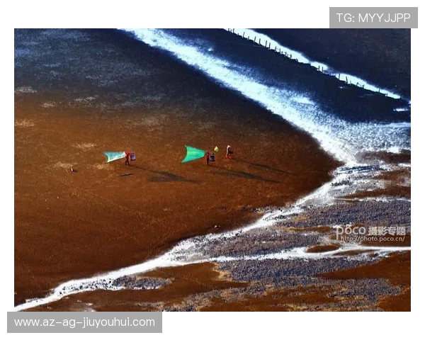 回望经典足球赛场那些定格永恒瞬间的摄影艺术深度探索之旅魅力绘卷